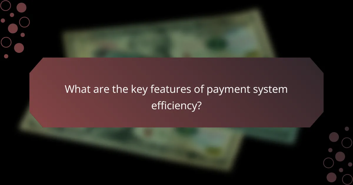 What are the key features of payment system efficiency?